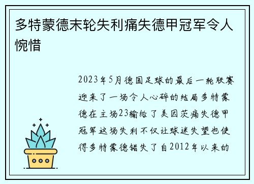 多特蒙德末轮失利痛失德甲冠军令人惋惜 多特蒙德末轮失利痛失德甲冠军令人惋惜